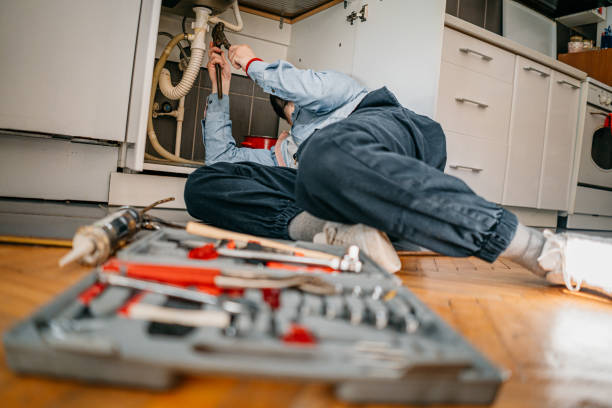 Best Plumbing Inspection Services  in Eagleview, PA